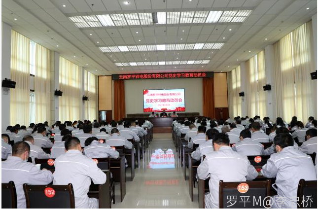 开云在线召开党史学习教育动员会